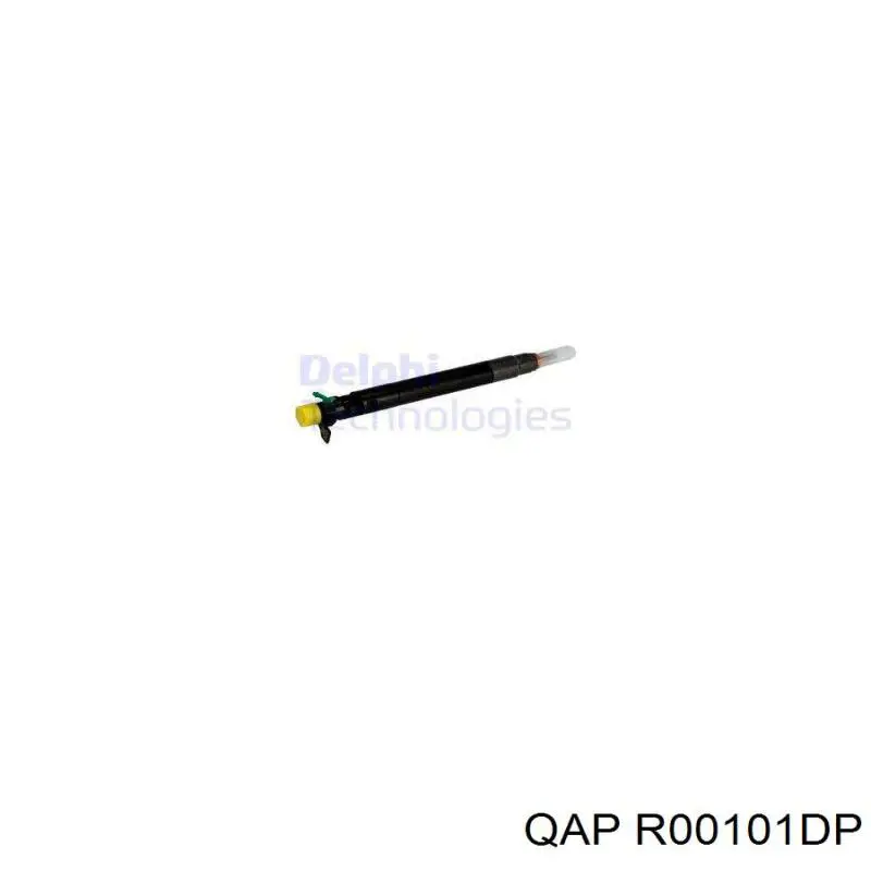 R00101DP QAP Топливные форсунки