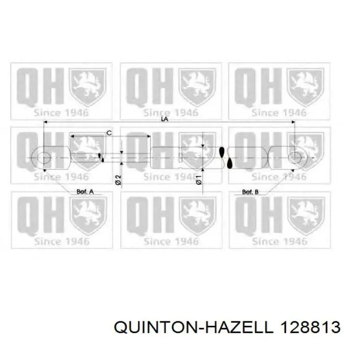 Амортизатор крышки багажника (двери 3/5-й задней) QUINTON HAZELL 128813