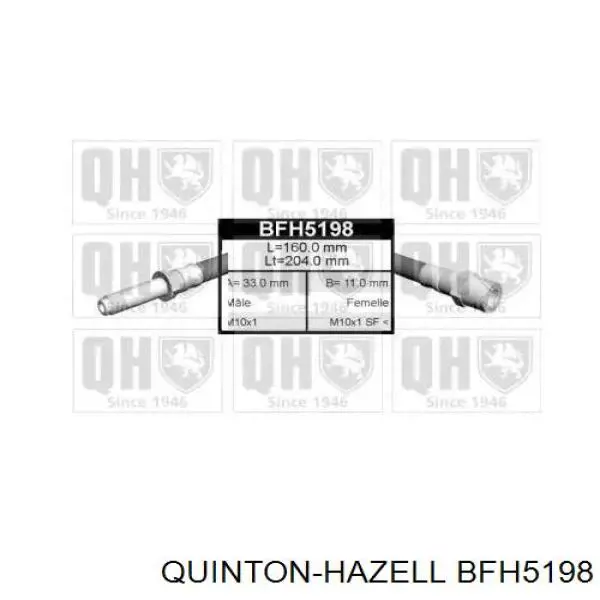 BFH5198 QUINTON HAZELL шланг тормозной задний