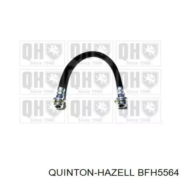 Шланг тормозной задний QUINTON HAZELL BFH5564