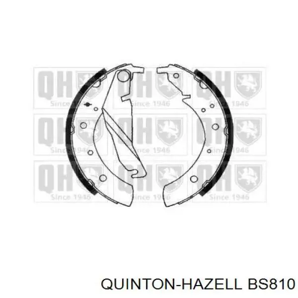 Задние барабанные колодки BS810 QUINTON HAZELL