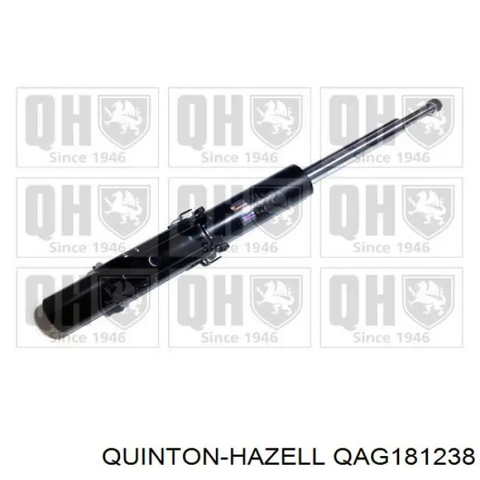 Амортизатор передний QAG181238 QUINTON HAZELL