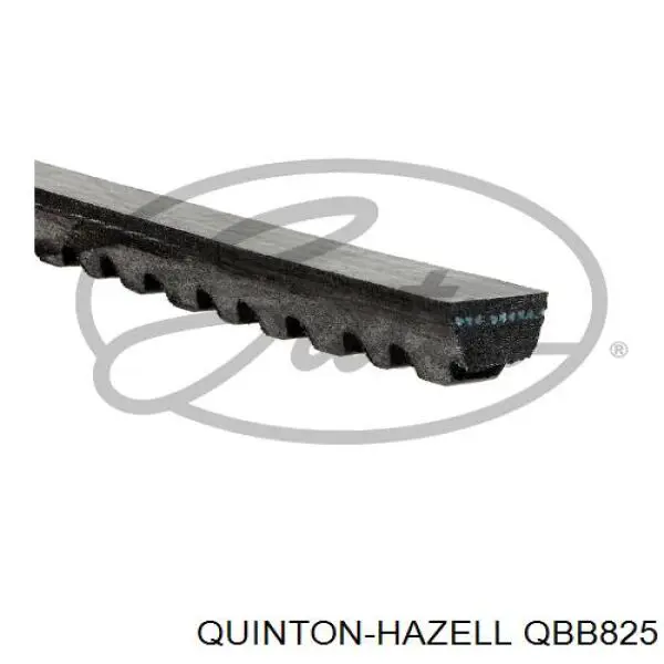 Купить AVX13X830 Continental/Siemens Ремень генератора