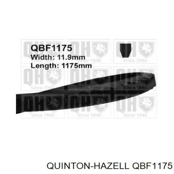 Ремень генератора QBF1175 QUINTON HAZELL