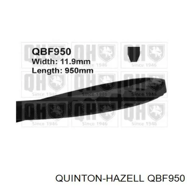 Ремень генератора QBF950 QUINTON HAZELL