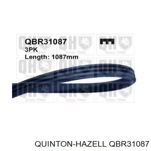 QBR31087 QUINTON HAZELL ремень генератора
