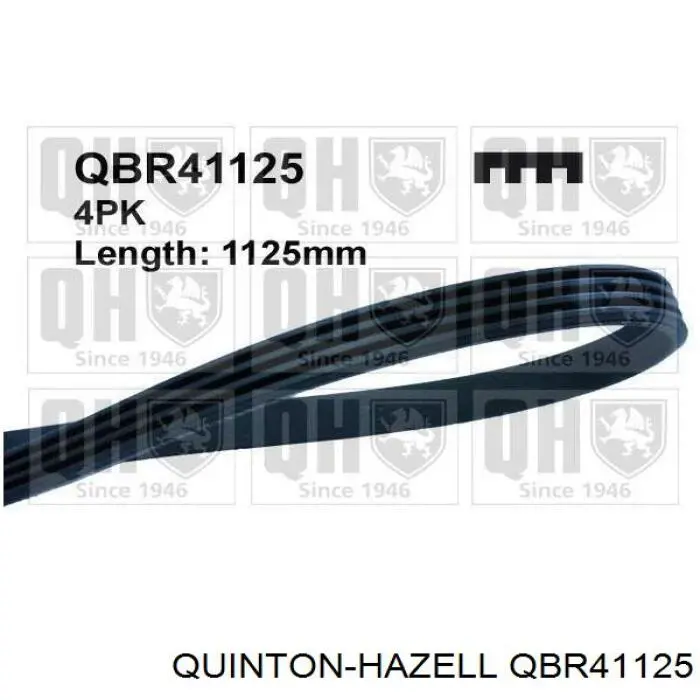 QBR41125 QUINTON HAZELL ремень генератора