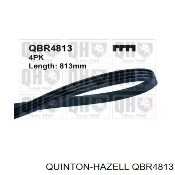 Ремень генератора QUINTON HAZELL QBR4813 Ремень генератора QUINTON HAZELL QBR4813