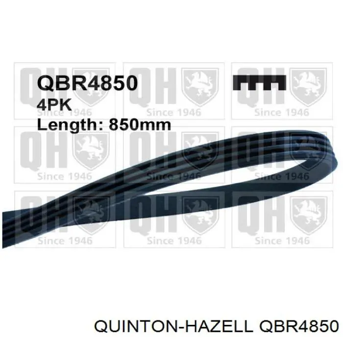 QBR4850 QUINTON HAZELL