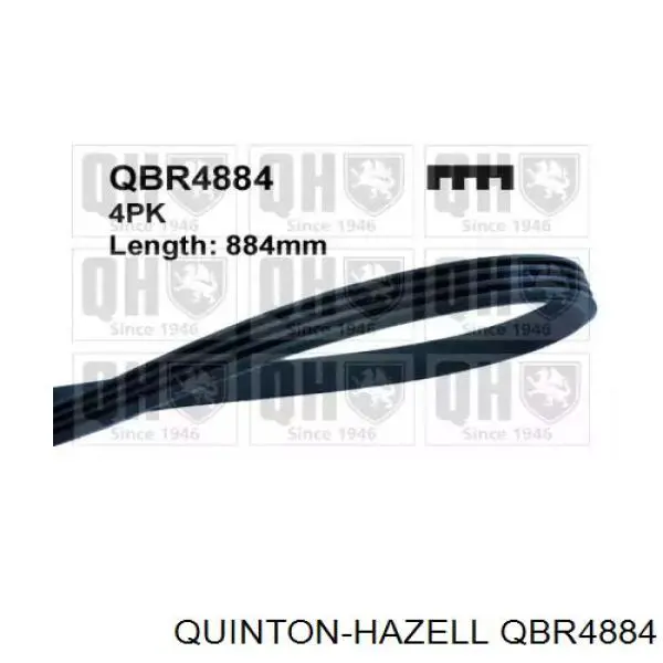 QBR4884 QUINTON HAZELL ремень генератора