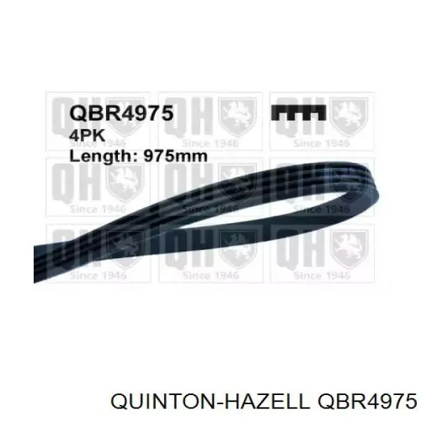 QBR4975 QUINTON HAZELL Поликлиновый ремень