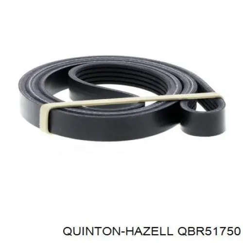 Correa trapezoidal QBR51750 QUINTON HAZELL