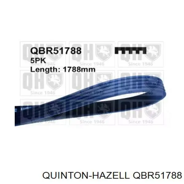 QBR51788 QUINTON HAZELL Поликлиновый ремень
