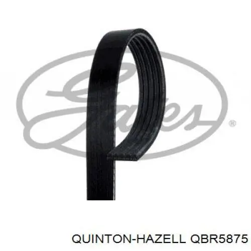 Ремень генератора QBR5875 QUINTON HAZELL