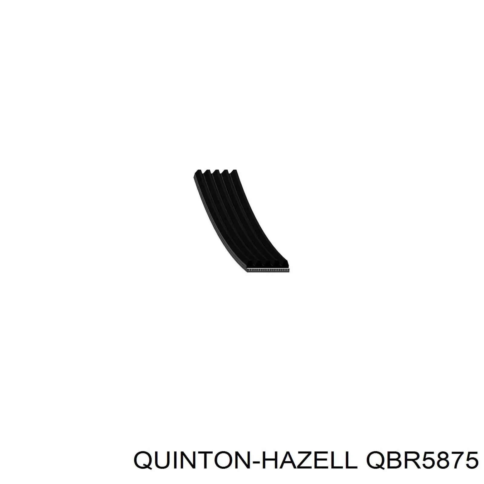 Ремень генератора QBR5875 QUINTON HAZELL