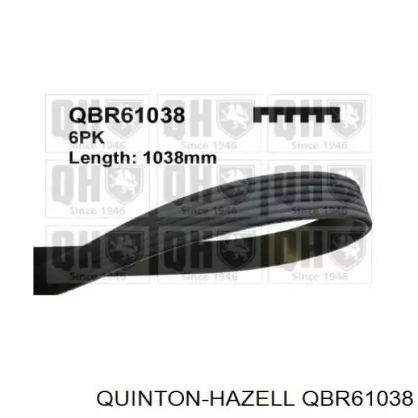 Ремень генератора QBR61038 QUINTON HAZELL