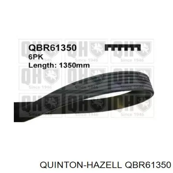 QBR61350 QUINTON HAZELL ремень генератора
