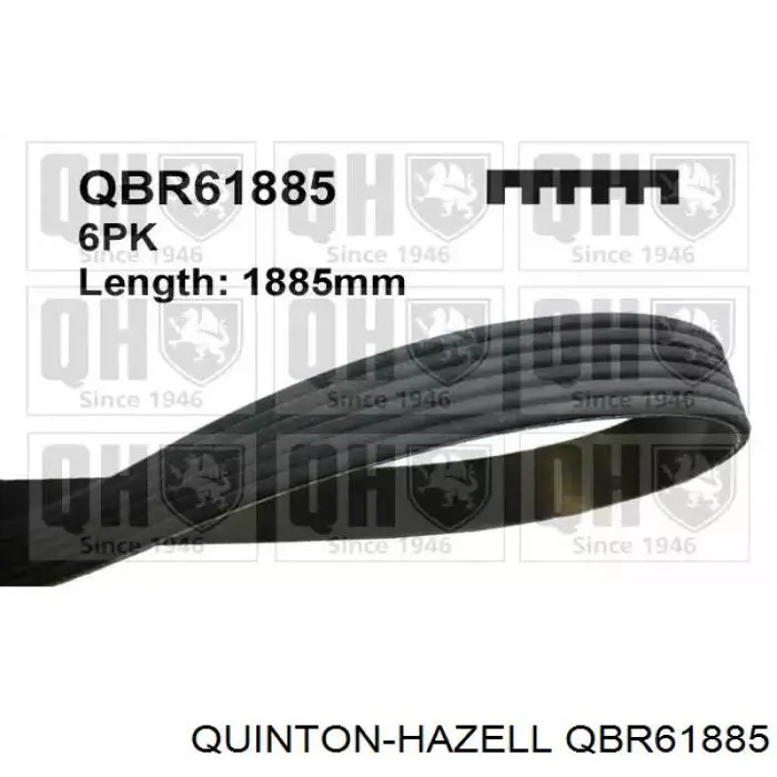 QBR61885 QUINTON HAZELL ремень генератора