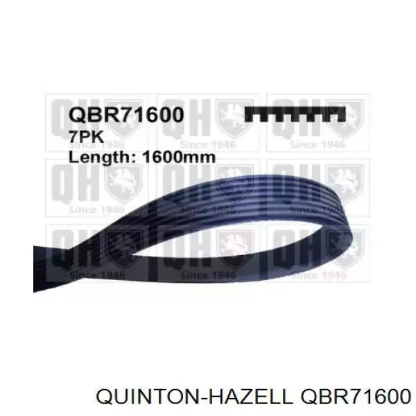 QBR71600 QUINTON HAZELL ремень генератора