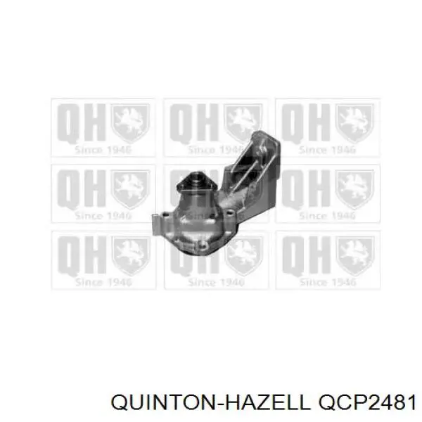 Помпа QCP2481 QUINTON HAZELL