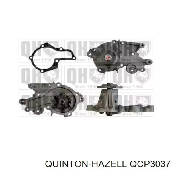 Помпа QCP3037 QUINTON HAZELL