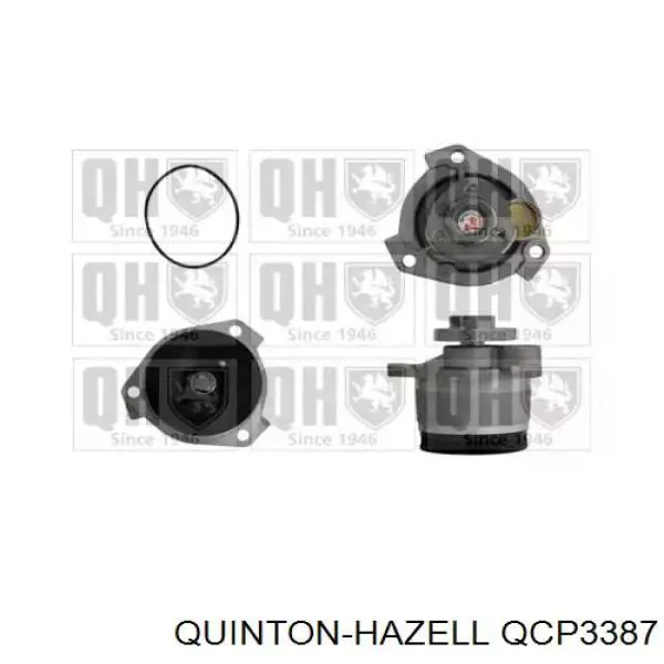 Помпа QCP3387 QUINTON HAZELL