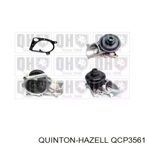 Помпа QCP3561 QUINTON HAZELL