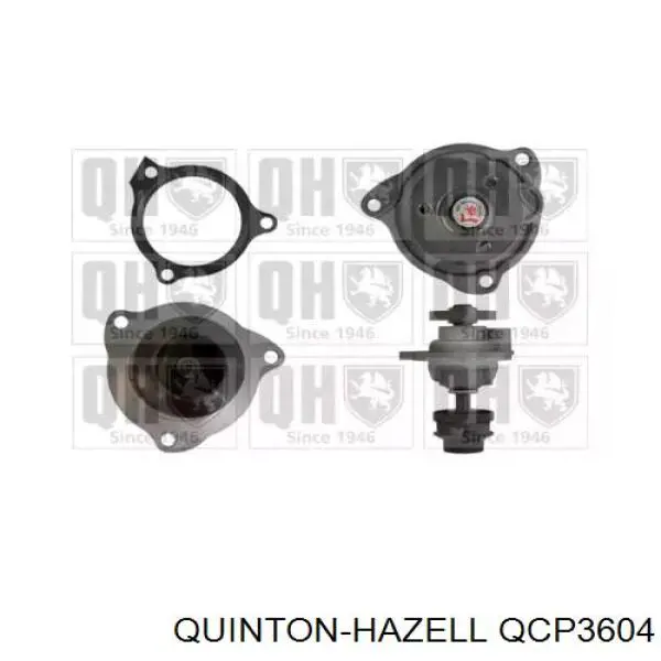 Помпа QCP3604 QUINTON HAZELL