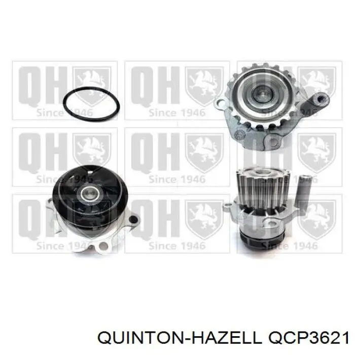 Помпа QCP3621 QUINTON HAZELL