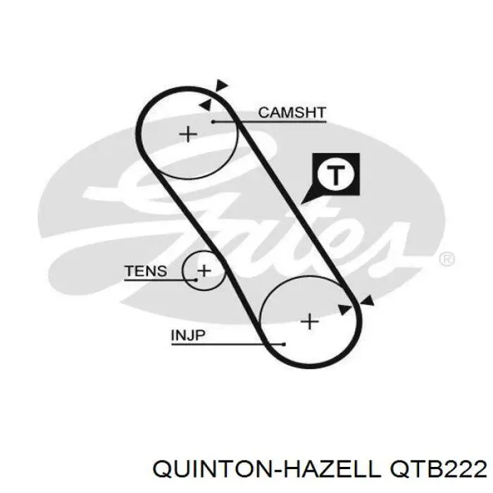 Ремень ТНВД QUINTON HAZELL QTB222 цена, от 9.14 USD
