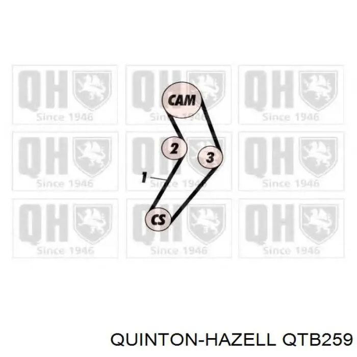 Correa distribucion QTB259 QUINTON HAZELL