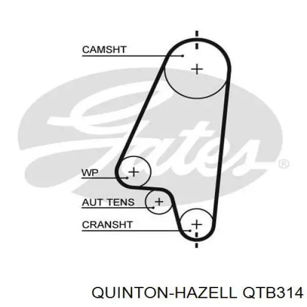 Correa distribucion QTB314 QUINTON HAZELL