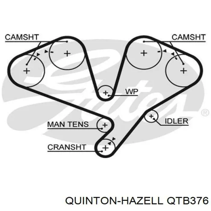 Correa distribucion QTB376 QUINTON HAZELL