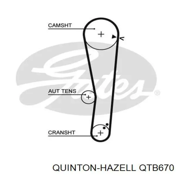 Correa distribucion QTB670 QUINTON HAZELL