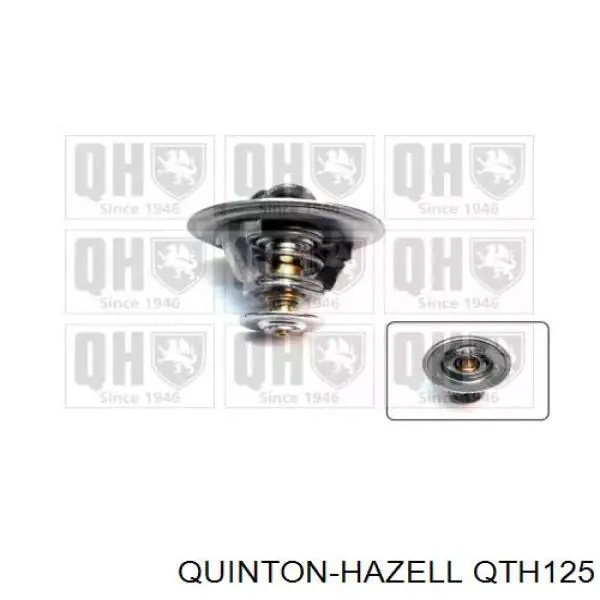 Термостат QTH125 QUINTON HAZELL