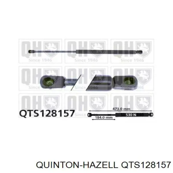 Амортизатор багажника QTS128157 QUINTON HAZELL