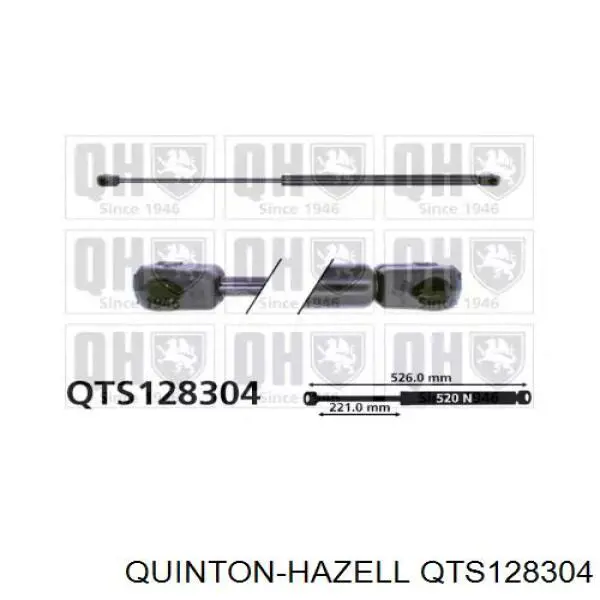 Амортизатор задней двери Renault (RVI) 6025101952 цена, от 12.32 USD