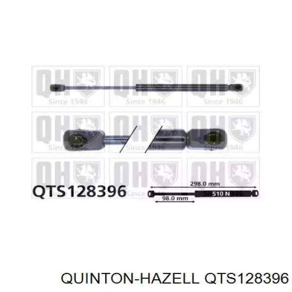 Амортизатор багажника QTS128396 QUINTON HAZELL