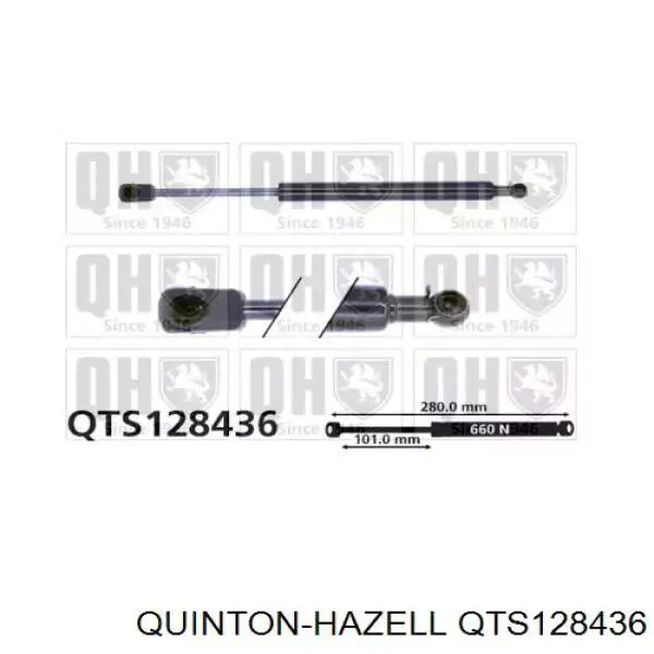 Амортизатор багажника QTS128436 QUINTON HAZELL