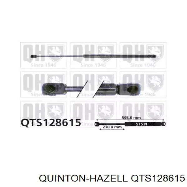 Амортизатор крышки багажника (двери 3/5-й задней) QUINTON HAZELL QTS128615