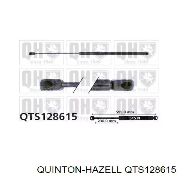 Амортизатор багажника QTS128615 QUINTON HAZELL