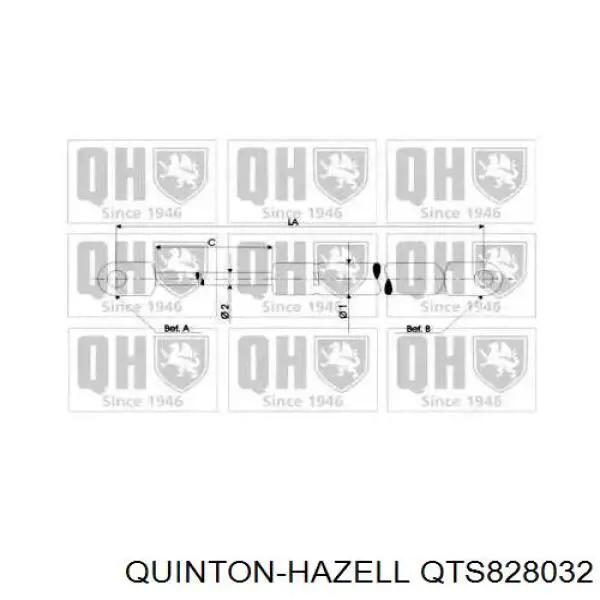 Амортизатор багажника QTS828032 QUINTON HAZELL