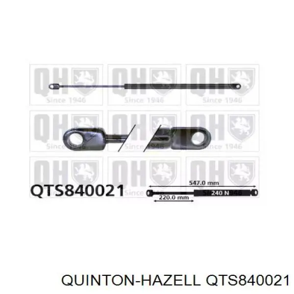  QTS840021 QUINTON HAZELL