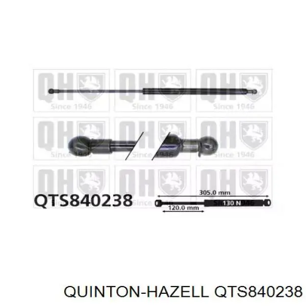 QTS840238 QUINTON HAZELL амортизатор багажника