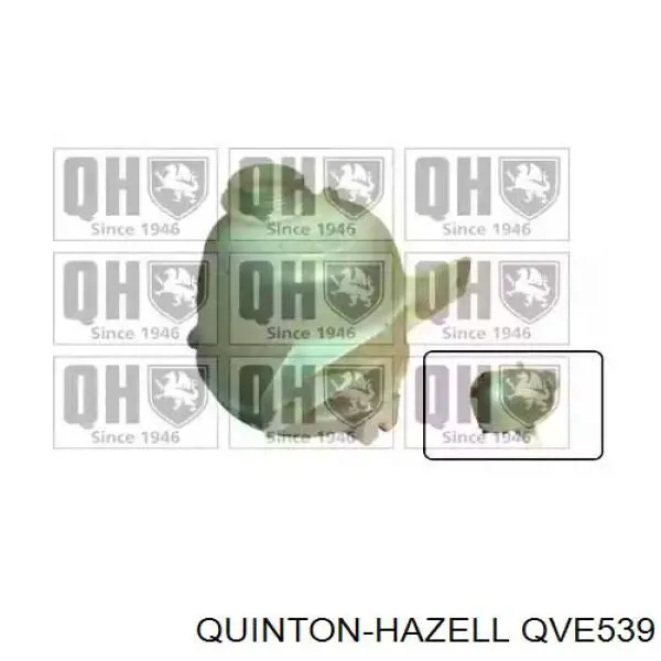 Бачок системы охлаждения QVE539 QUINTON HAZELL