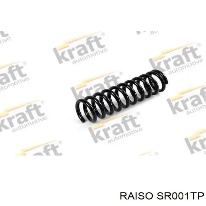 Задняя пружина SR001TP Raiso