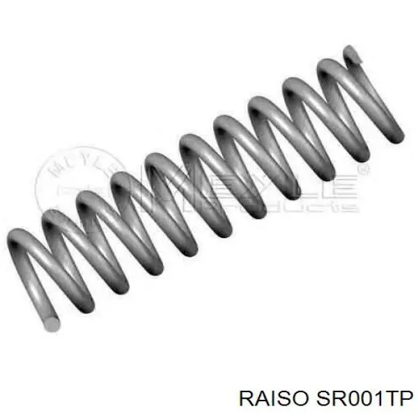 Пружина амортизатора Raiso SR001TP цена, от 997.42 UAH