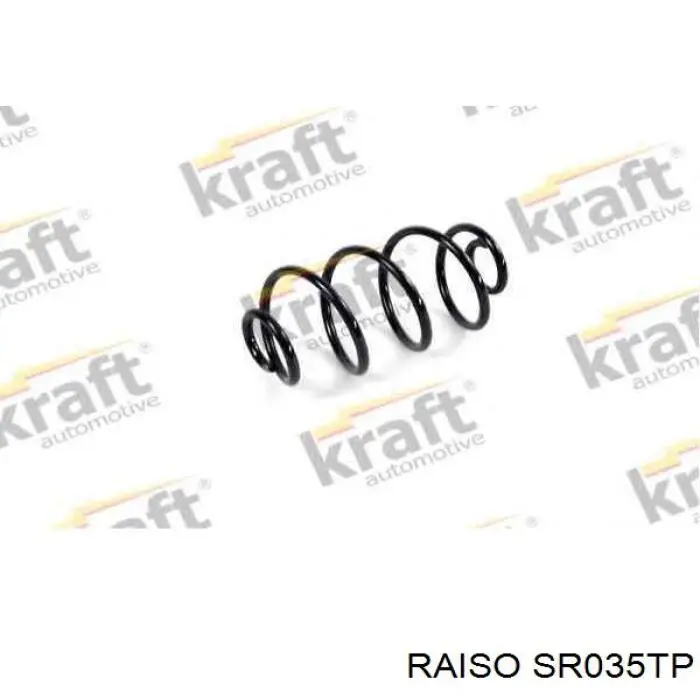 SR035TP Raiso Пружина подвески задняя