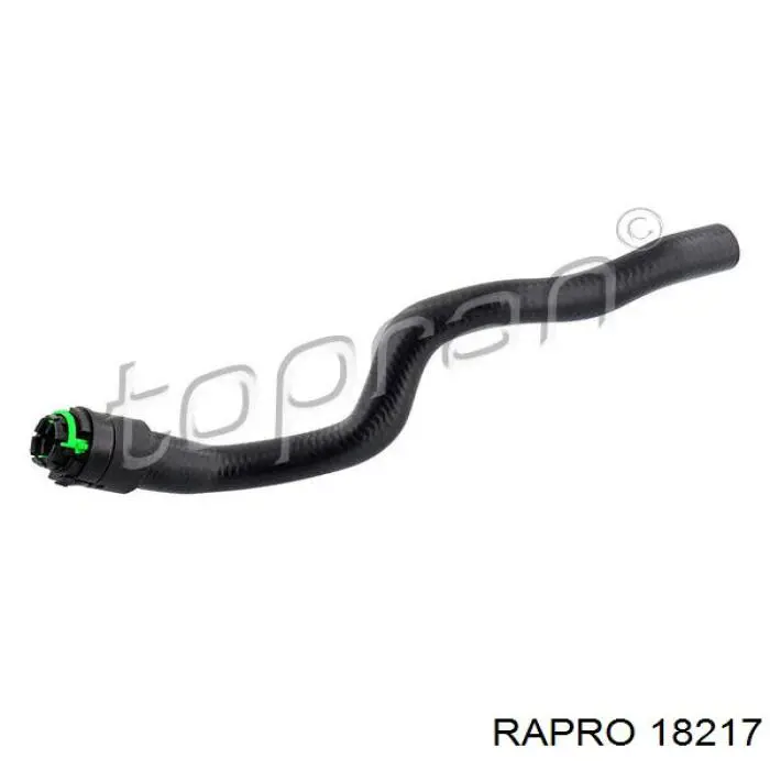 18217 Rapro