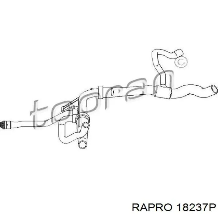18237P Rapro шланг (патрубок радиатора охлаждения нижний)